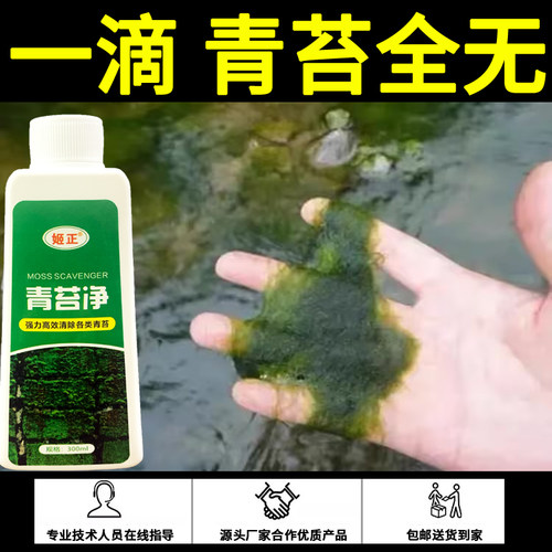 清苔净鱼塘鱼池鱼缸除藻去苔剂灭藻剂不伤鱼虾蟹水产养殖