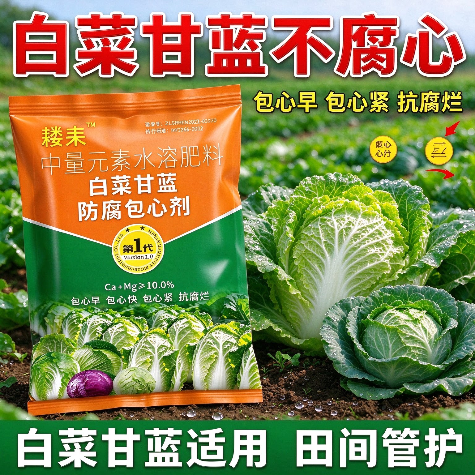 包菜专用肥卷心菜包心剂包菜包心剂猛长素甘蓝白菜增产增收膨大肥