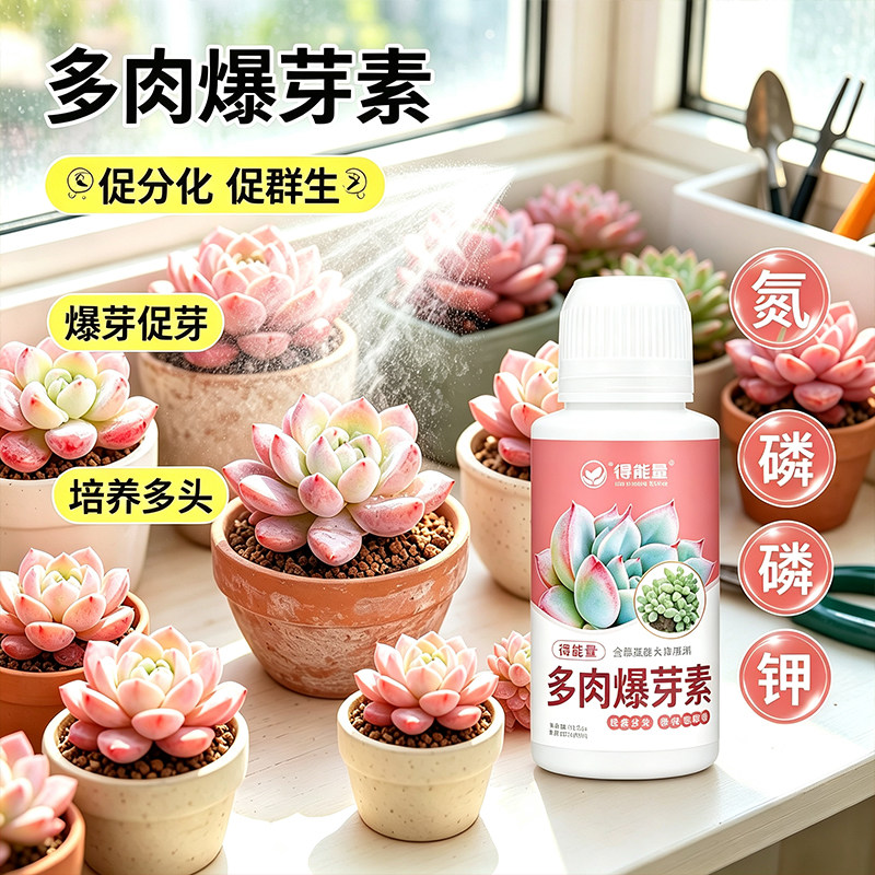 多肉植物爆芽促芽液培育多头群生多肉专用水溶肥