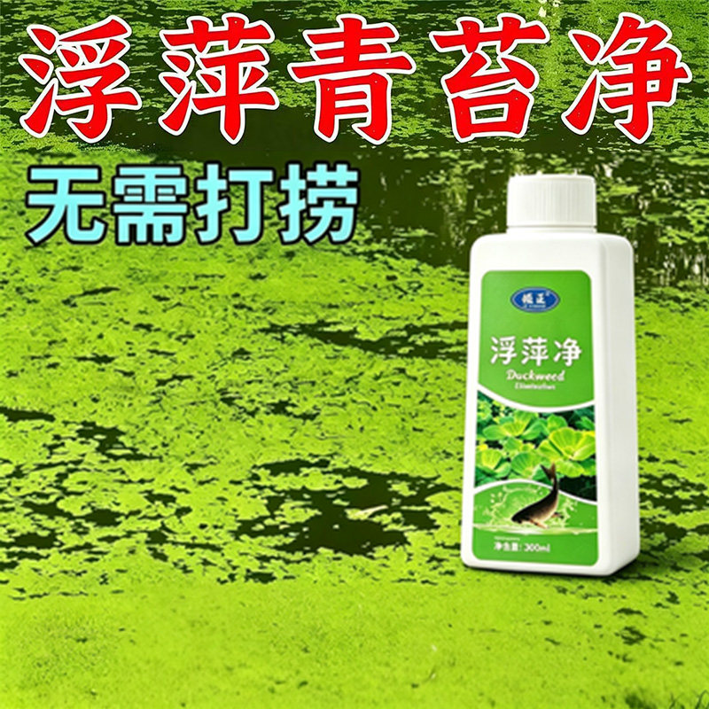 鱼池净水剂鱼塘净水除藻去苔剂青苔清除剂鱼缸除浮萍清池塘变清