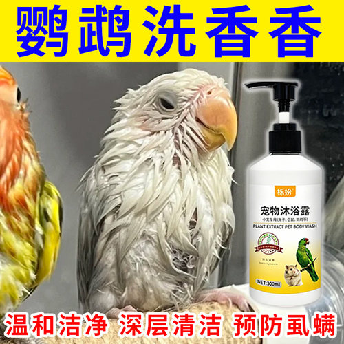 鹦鹉沐浴露除臭专用豚鼠荷兰猪沐浴露抗菌除臭除螨豚鼠洗澡用品