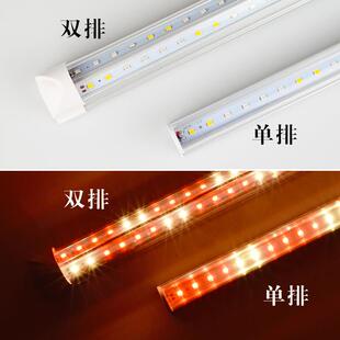 熟食灯管 生鲜见描述肉蔬水果店菜粉色照肉卤菜鸭脖展示柜eld红猪