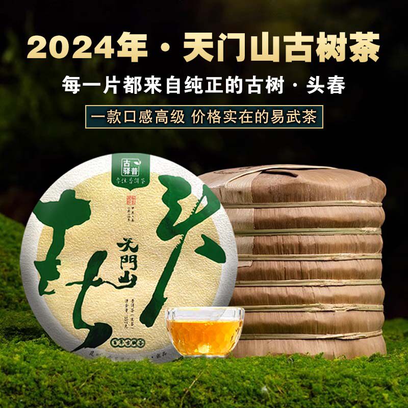 2024天门山高杆头春生茶易武百年古树纯料普洱茶云南七子饼茶叶