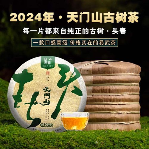 2024天门山高杆头春生茶古树纯料