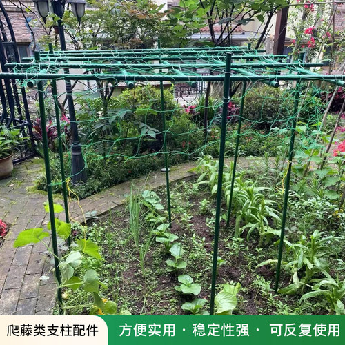 植物爬藤网蔬菜网攀爬种植搭架丝瓜百香果豆角藤蔓花卉网