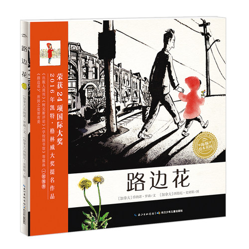 路边花全图无字精装海豚绘本花园