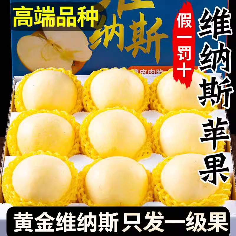 正宗维纳斯黄金苹果新鲜水果山东奶油苹果当季整箱礼盒5斤