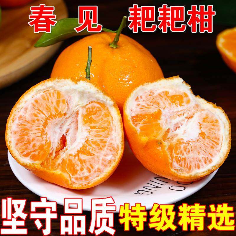 新货四川粑见耙耙柑超甜水果当季新鲜春杷柑桔子现摘干橘子旗舰店,粮油调味/速食/干货/烘焙,粽子,淘宝优惠券,粉丝福利购,淘宝优惠卷