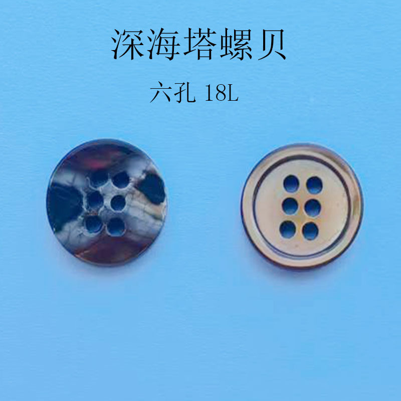 深海塔螺贝壳原色纽扣服装辅料六孔塔罗贝壳有底纽扣零售批发