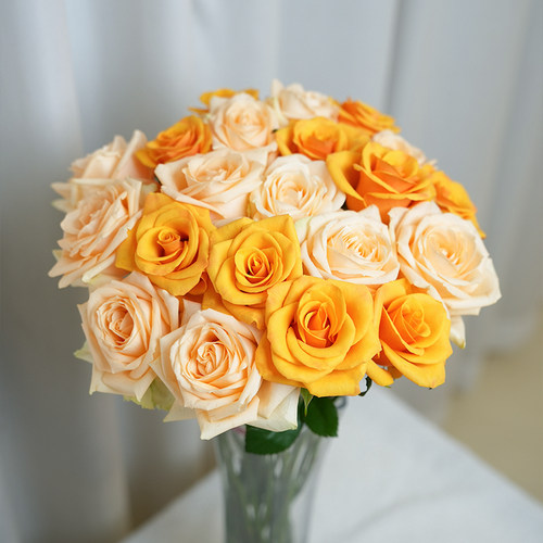 玫瑰花鲜花山东基地直发顺丰包邮鲜切花白玫瑰插花花束水养真花