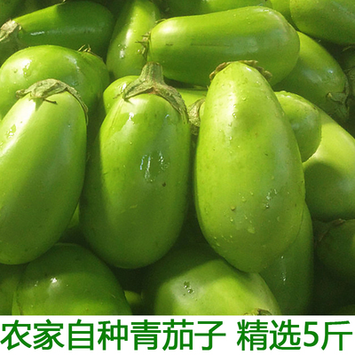 新鲜大绿茄子湖北特产蔬菜农家