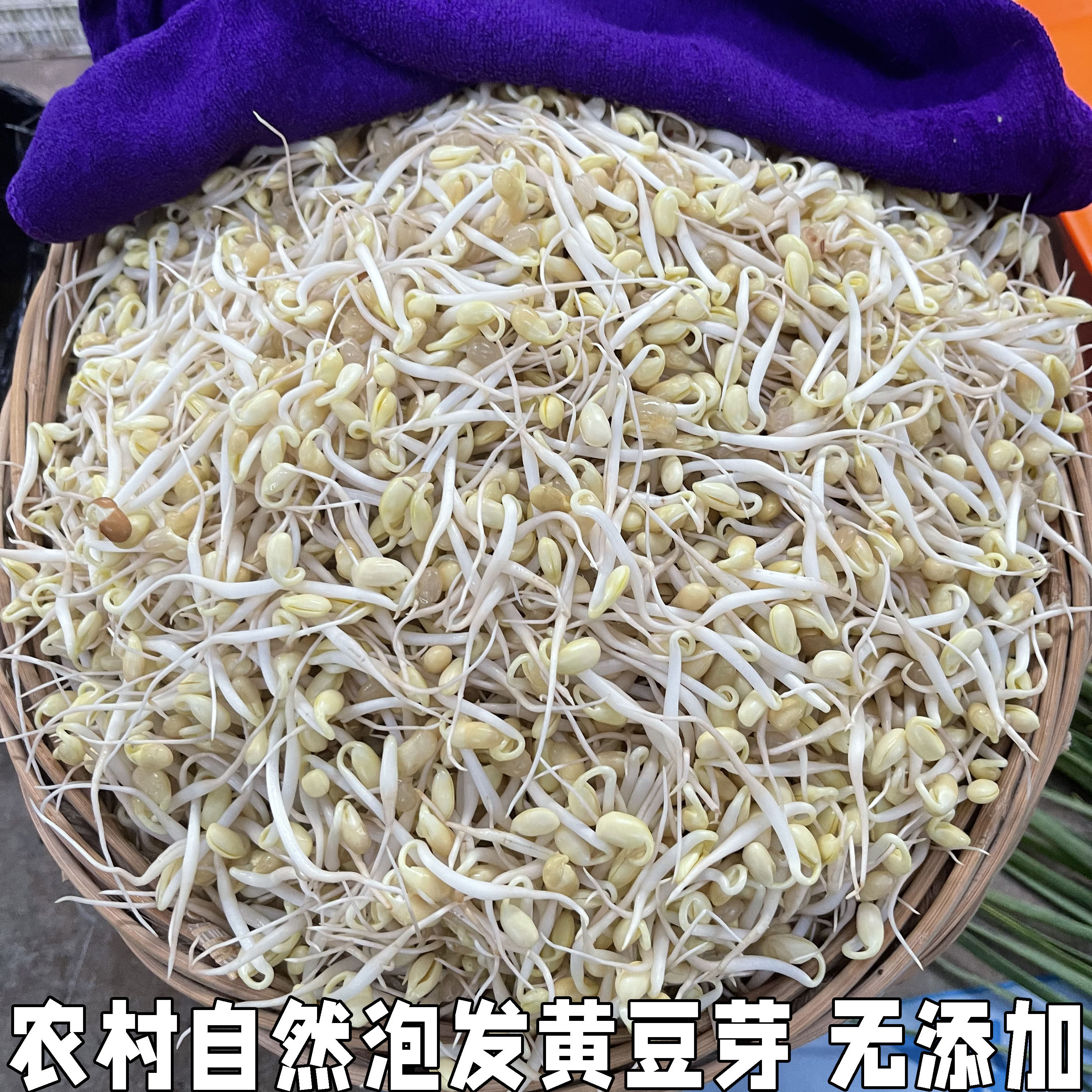 新鲜蔬菜农家自种现摘