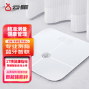 蓝牙连接双频精准检测数据自动上传精准 家用智能电子秤 健康体秤 体脂秤 BMI内脏脂肪跌倒