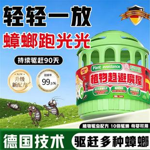 德国研发 德国家用室内厨房蟑螂克星小强魔盒防蟑螂一窝端家用