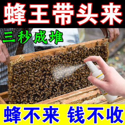 诱蜂膏神器蜂蜡野外引诱蜜蜂中土蜂野蜜蜂诱蜂新技术招蜂引诱蜂水