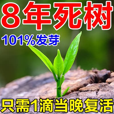 强力生根剂果树木移栽种植药大树成活营养液死树枯树快速复活神器