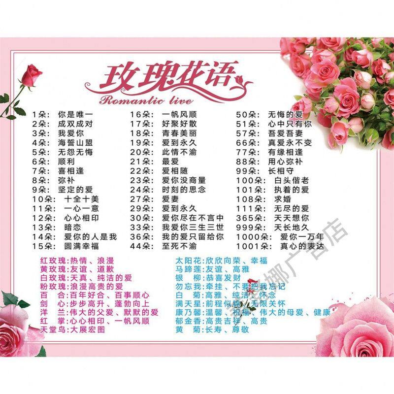玫瑰花语鲜花朵数寓意花意花语墙贴装饰挂画花店花房贴纸布置海报