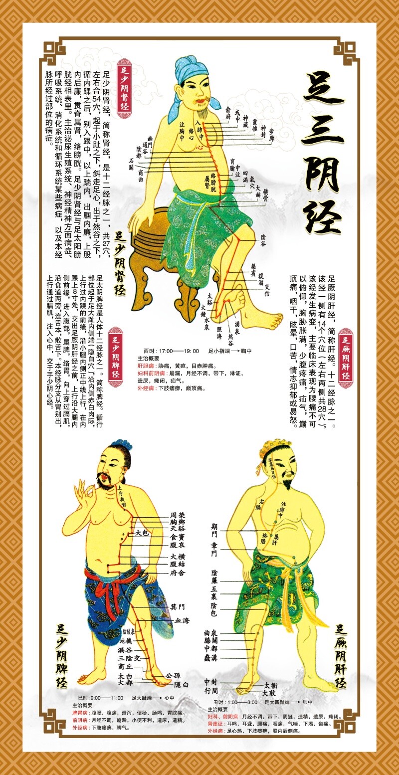 人体十二经络穴位图十四经络图足三阴经人体经络图中医推拿养生图