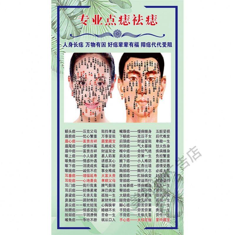 点痣宣传广告挂画美容祛斑祛痘装饰墙贴眉运四字经面部穴位图贴纸