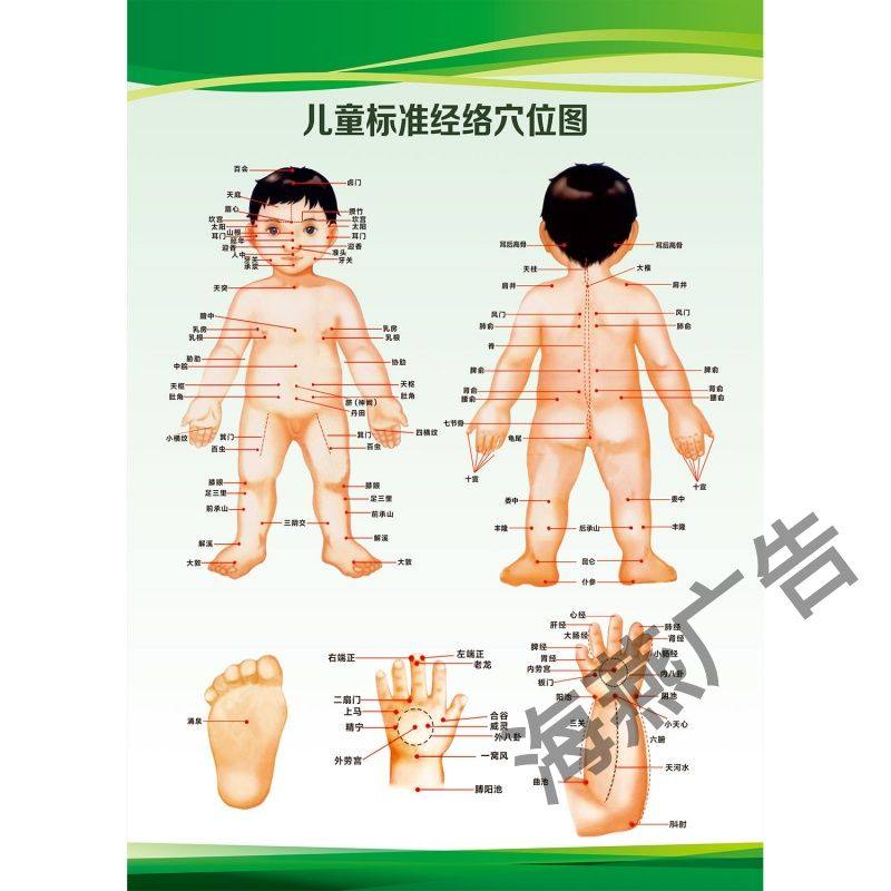 男孩子儿童标准经络穴位图海报小儿推拿挂图小儿推拿穴位图
