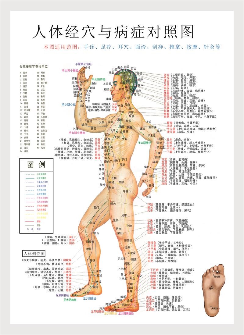 1套3张人体经络穴位图中医针炙挂图足疗刮痧按摩艾炙高清超大
