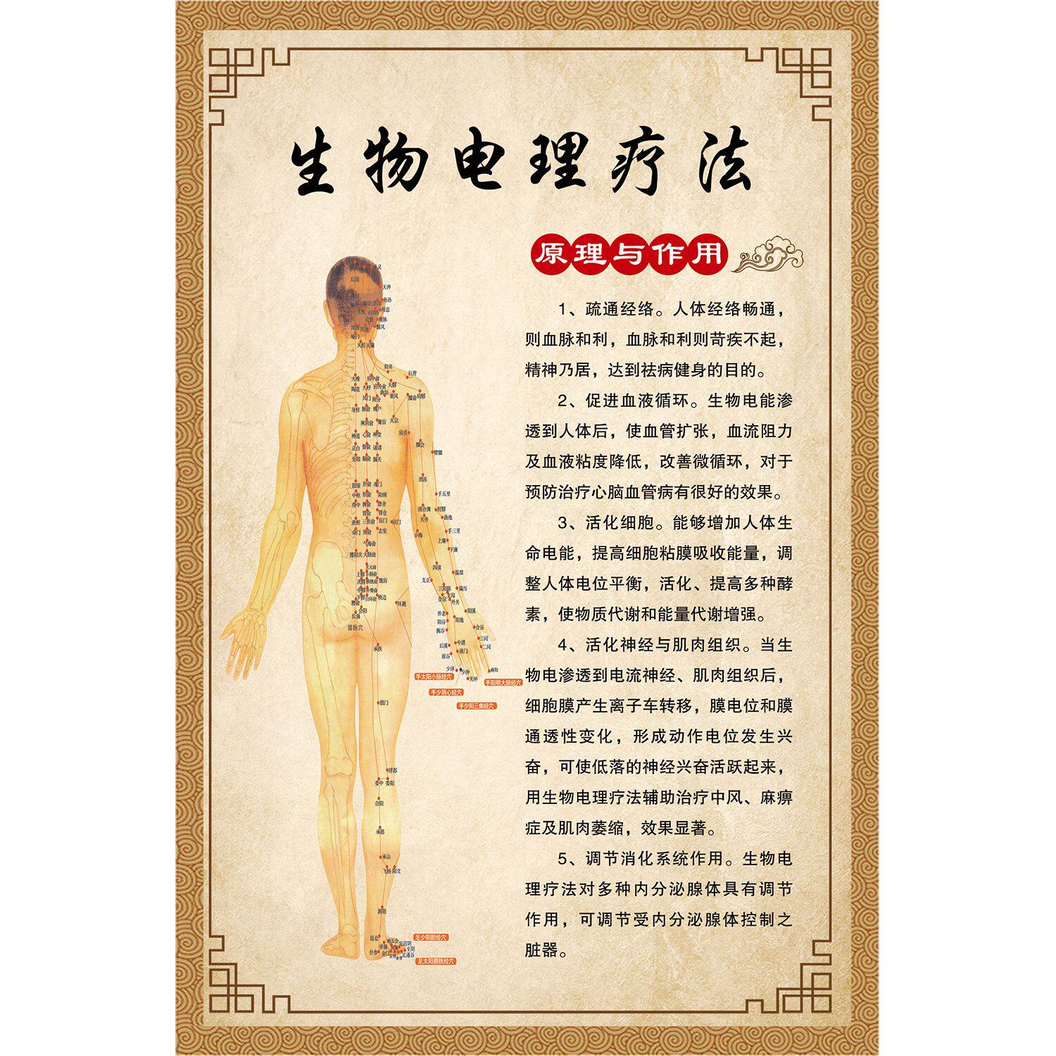 生物电理疗广告图中医养生馆挂画经络养生墙贴生物电禁忌适应症图