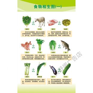 食物相生图 食物相克图蔬菜食材食物养生健康饮食家庭常识海报