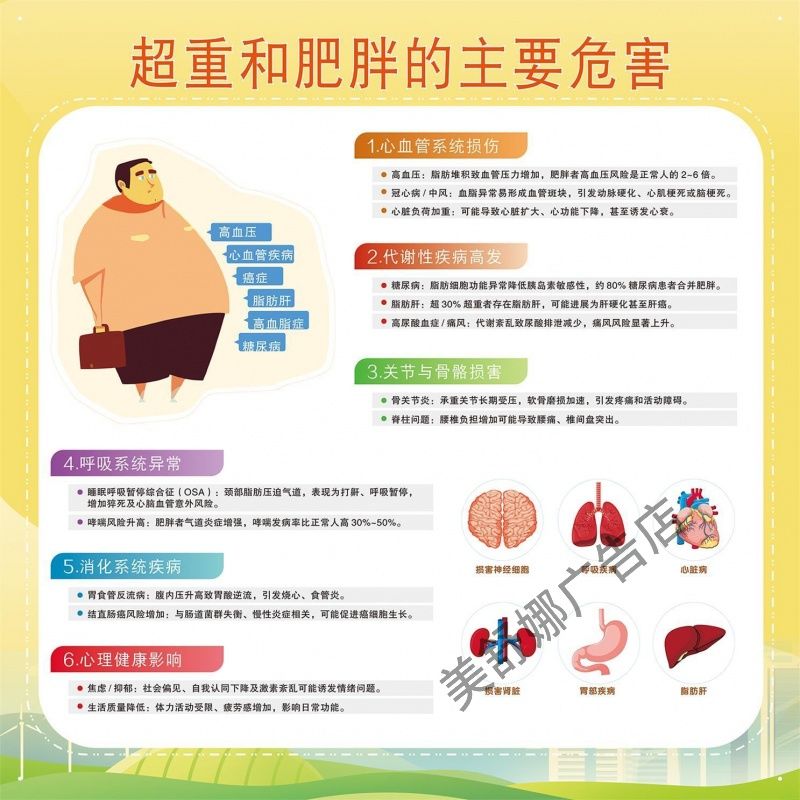 2025年BMI综合分析超重和肥胖的主要危害贴纸/肥胖管理策略海报画