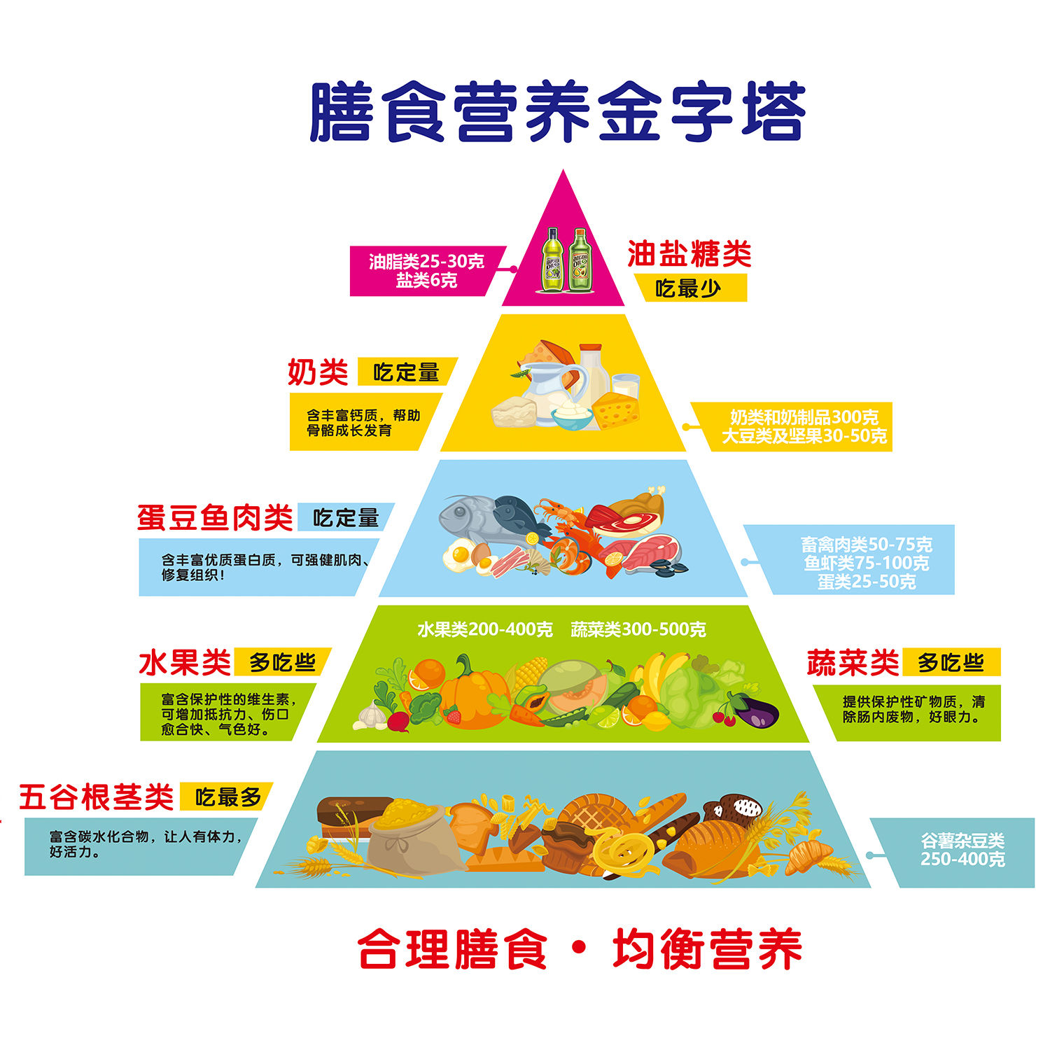 新版膳食宝塔模型中国居民平衡营养指导膳食金字塔模型食物交换份