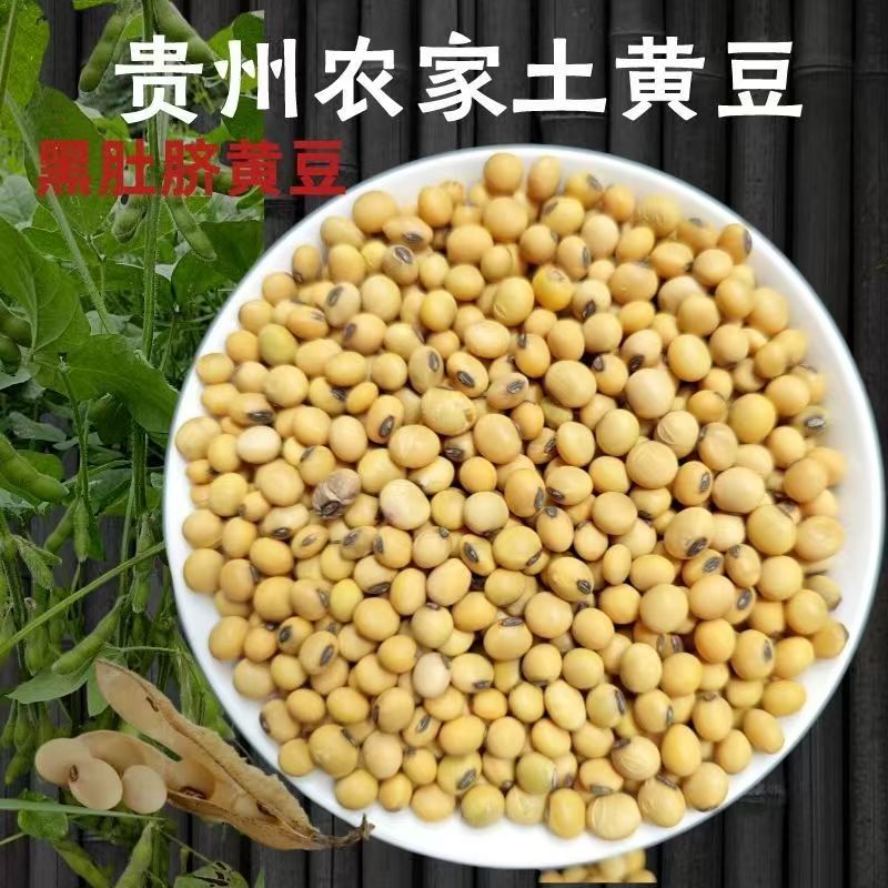 贵州特产黄豆农家自种黄豆做豆腐豆花黄豆芽