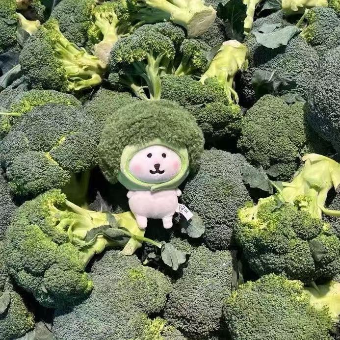 西兰花自嘲熊娃衣棉花娃娃可爱毛绒公仔生日礼物玩具玩偶挂件
