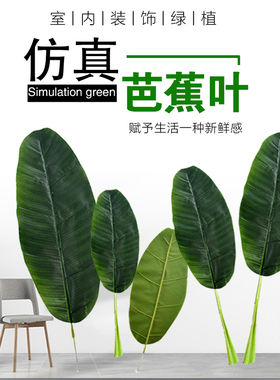 假芭蕉叶仿真塑料大叶子的树叶绿色芭蕉树装饰道具绿植植物散尾叶