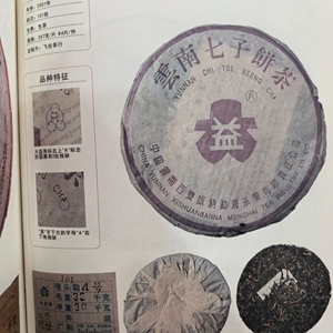 2001年紫大益四号青饼 梅子韵 水含香汤感丰富有层次 散泡分享