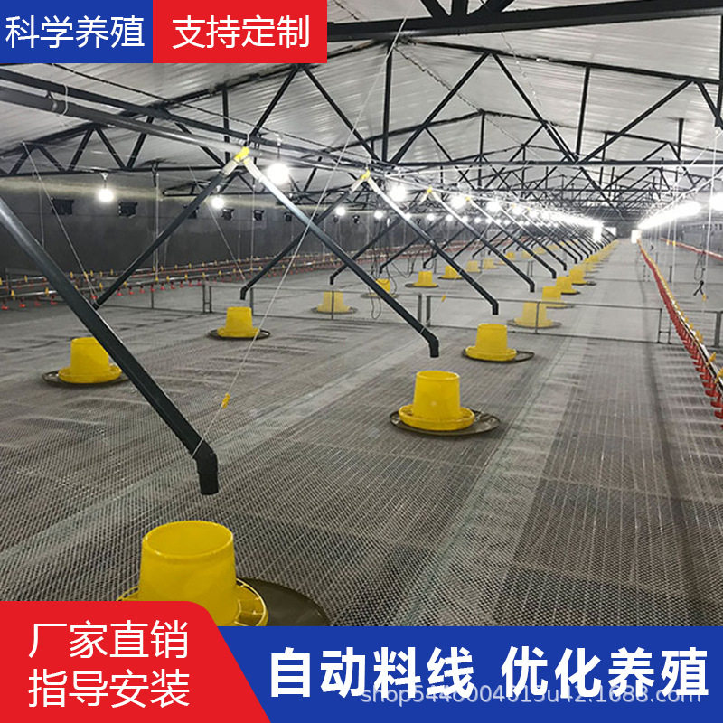 养鸡场全自动喂料机简易料线水线全套养殖设备鸭舍饮水投料机上料