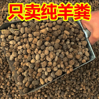原始发酵纯羊粪颗粒厂家直销包邮