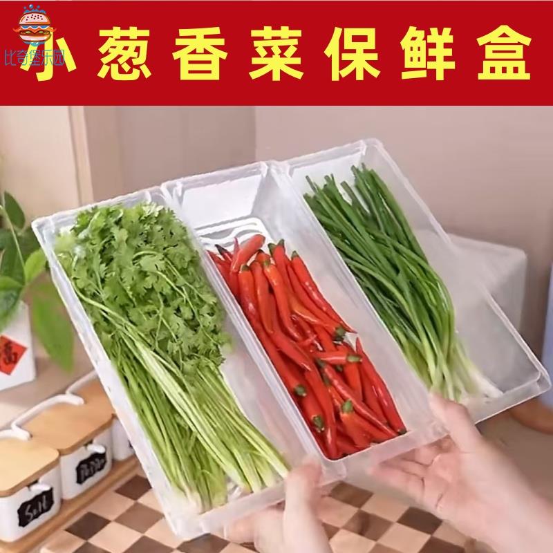 小葱香菜保鲜盒窄长型放香葱装葱收纳盒面条芫荽专用长条盒子带盖