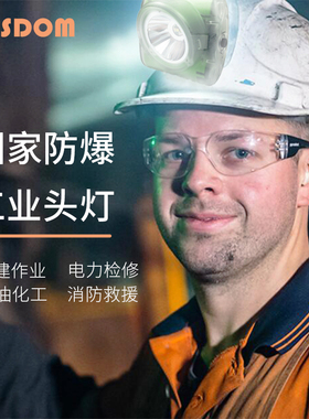 WISDOM 防爆增强型头灯L3A 强光超亮持久续航石油消防救援照明灯