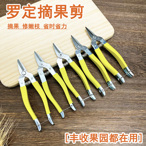 布丁木修枝剪摘果剪刀嫁接小剪刀