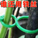 多功能植物蔬菜固定卡夹茄子新款 固定绿植茎秆园林卡扣园艺8字扣