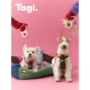 Tagi.《机灵背带裤》宠物格纹胸背想象苹果宠物牵引绳腕带挂绳