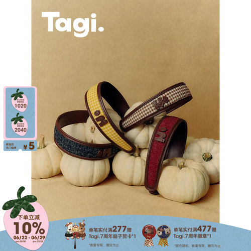 Tagi.想象复古格纹发箍