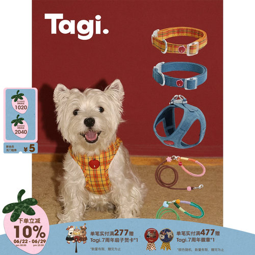 Tagi.遛狗项圈防爆冲狗绳胸背