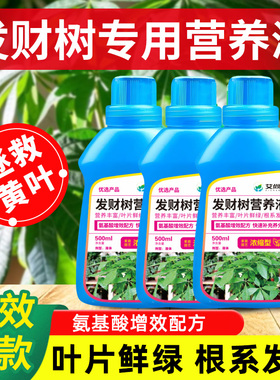 发财树营养液肥料专用肥治叶子发黄掉叶烂根室内盆栽植物花肥通用