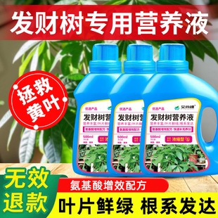 发财树营养液肥料专用肥治叶子发黄掉叶烂根室内盆栽植物花肥通用