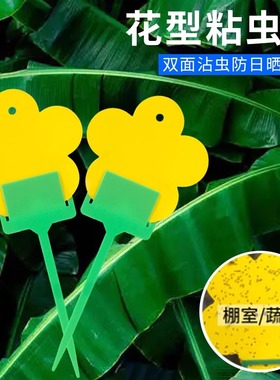 黄板双面粘虫板小黑飞粘板小飞虫果蝇绿植黄色花型诱捕器小黄板