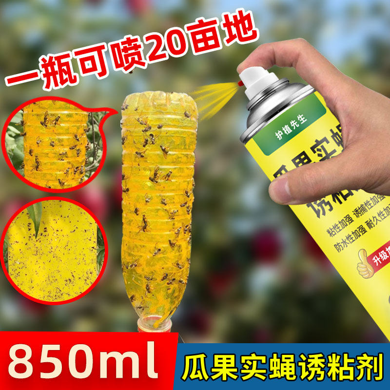 瓜果实蝇针蜂诱粘剂果蝇诱捕器神器果树杀虫剂灭针蜂药果实蝇引诱