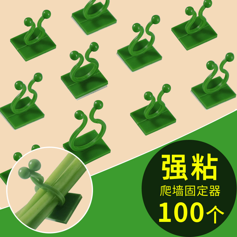 绿萝爬上神器爬墙上绿箩固定器月季绿植攀爬夹子墙上无痕挂钩爬藤
