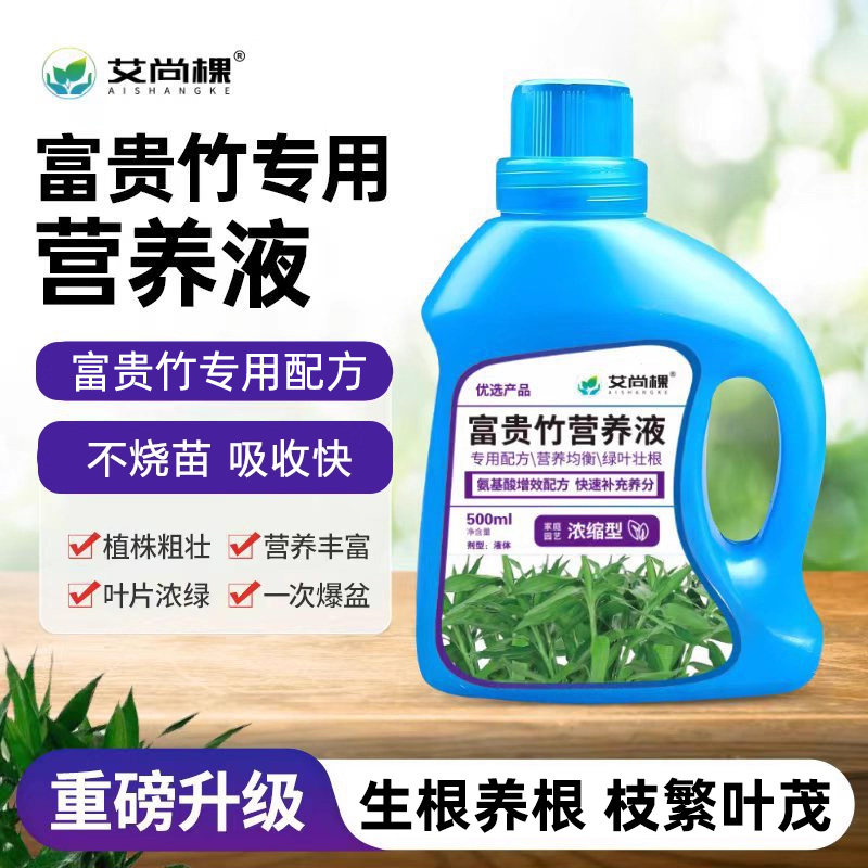 富贵竹专用营养液肥料专用肥水培植物通用文竹转运竹专治黄叶生根,鲜花速递/花卉仿真/绿植园艺,介质/营养土,淘宝优惠券,粉丝福利购,淘宝优惠卷