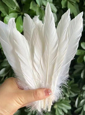 硬飘鹅毛15-20cm幼儿园红色DIY饰品裙边礼品彩色粉色辅料花束ins