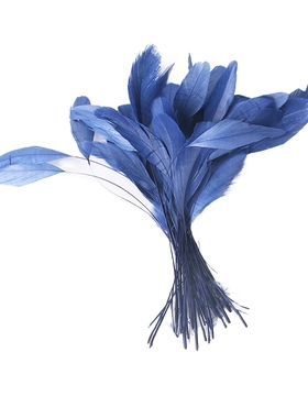 公鸡尾羽毛演出服饰品绿色舞台装饰用品帽子翅膀布带15-20cm紫色